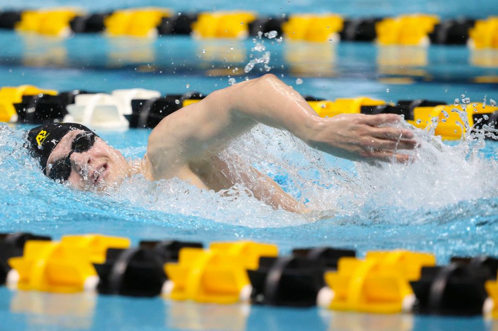Iowa's B team at the 1,650-yard freestyle race Saturday, March 2, 2019 at the Campus Recreation and Wellness Center. (Lily Smith/hawkeyesports.com)
