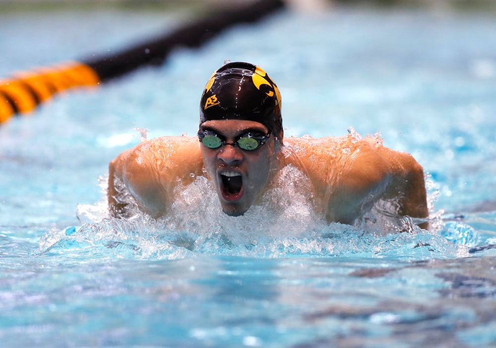 Matjaz Rozman swims the 100 yard butterfly during the Black and Gold Intrasquad Saturday, September 29, 2018 at the Campus Recreation and Wellness Center. (Brian Ray/hawkeyesports.com)