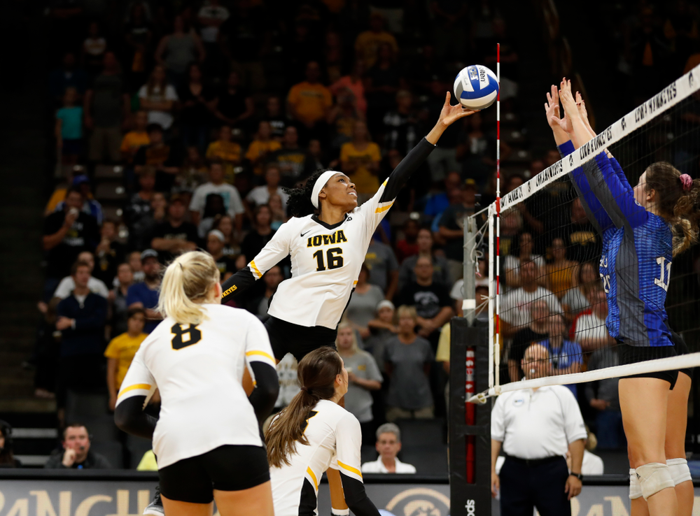 Iowa Hawkeyes outside hitter Taylor Louis (16) against Eastern Illinois Sunday, September 9, 2018 at Carver-Hawkeye Arena. (Brian Ray/hawkeyesports.com)