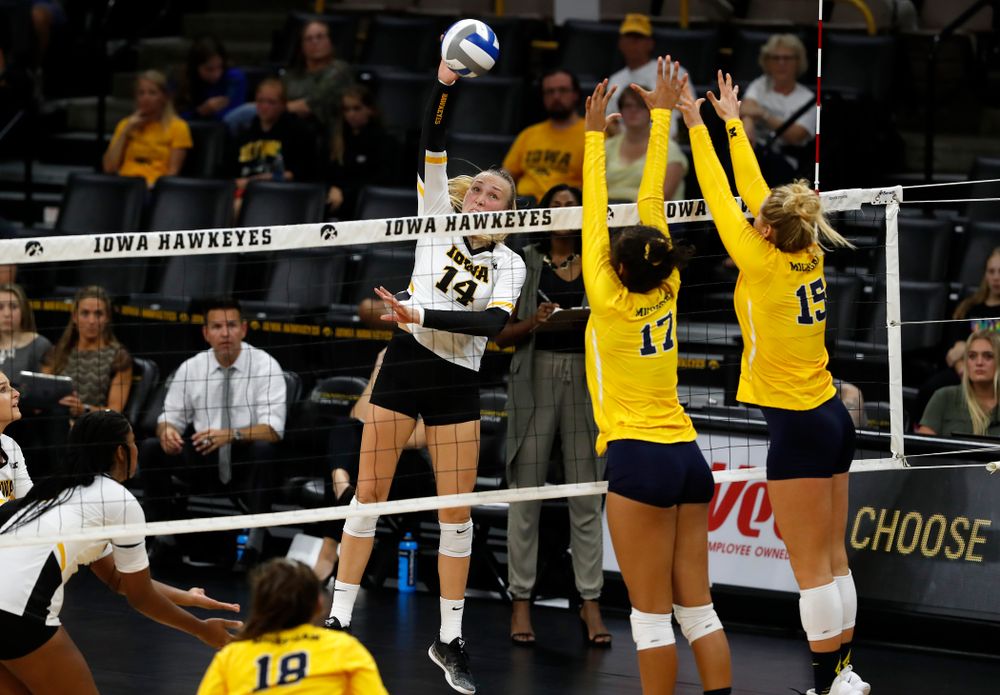Iowa Hawkeyes outside hitter Cali Hoye (14) against the Michigan Wolverines Sunday, September 23, 2018 at Carver-Hawkeye Arena. (Brian Ray/hawkeyesports.com)
