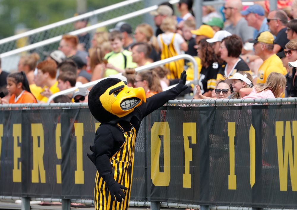 Herky the Hawk against the Creighton Bluejays Sunday, August 19, 2018 at the Iowa Soccer Complex. (Brian Ray/hawkeyesports.com)