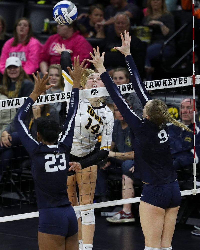 Iowa Hawkeyes outside hitter Cali Hoye (14) spikes the ball during a match against Penn State at Carver-Hawkeye Arena on November 3, 2018. (Tork Mason/hawkeyesports.com)