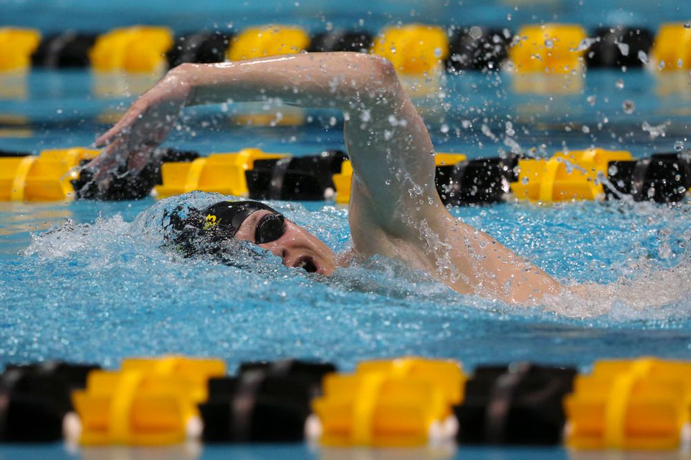 Iowa's B team at the 1,650-yard freestyle race Saturday, March 2, 2019 at the Campus Recreation and Wellness Center. (Lily Smith/hawkeyesports.com)