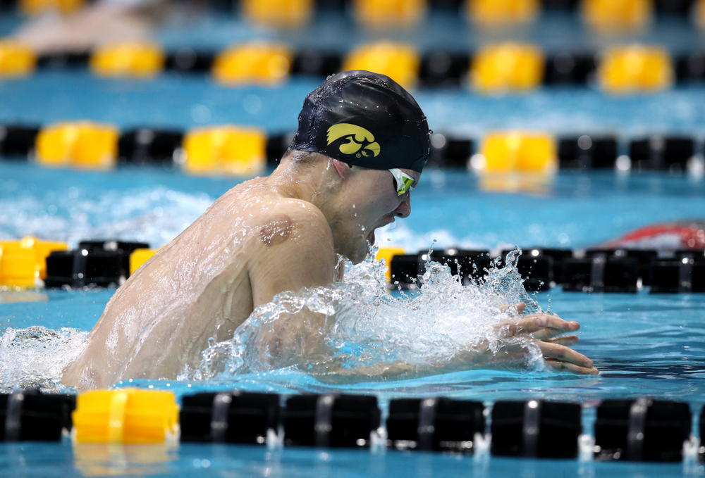 Iowa's Anze Fers Erzen swims in the preliminaries of the 200-yard IM during the 2019 Big Ten Swimming and Diving Championships Thursday, February 28, 2019 at the Campus Wellness and Recreation Center. (Brian Ray/hawkeyesports.com)