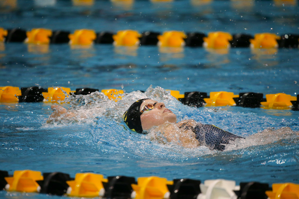 Julia Koluch during Iowa women’s swimming and diving vs Rutgers on Friday, November 8, 2019 at the Campus Wellness and Recreation Center. (Lily Smith/hawkeyesports.com)