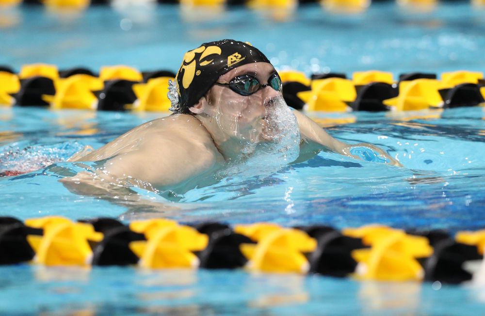 Iowa's Daniel Swanepoel swims the breaststroke leg of the 200 medley relay at the 2019 Big Ten Swimming and Diving meet Wednesday, February 27, 2019 at the Campus Wellness and Recreation Center. (Brian Ray/hawkeyesports.com)