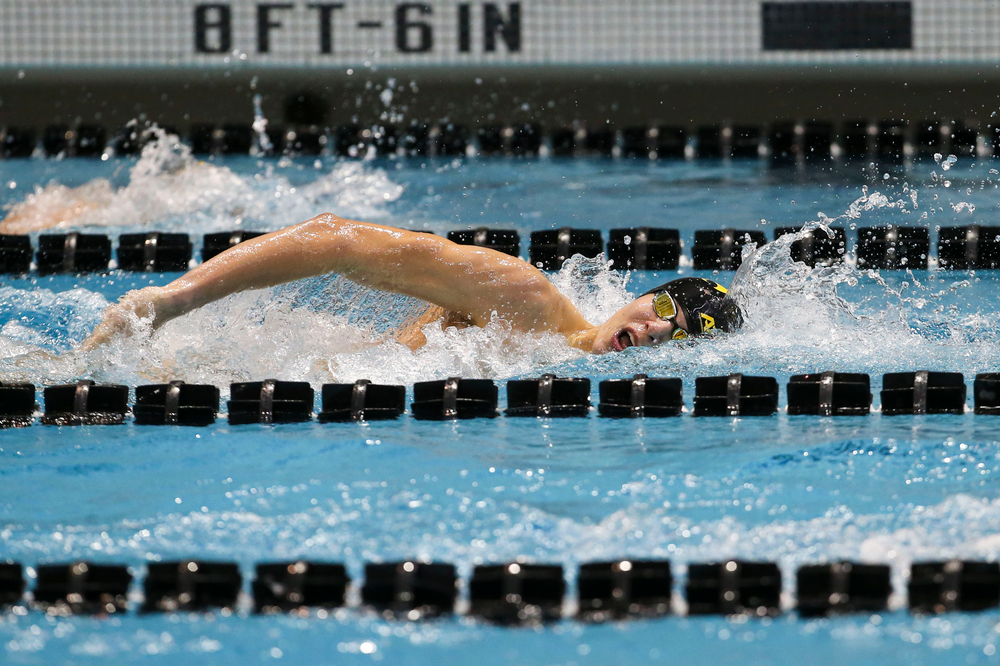 Iowa’s Andrew Fierke during Iowa swim and dive vs Minnesota on Saturday, October 26, 2019 at the Campus Wellness and Recreation Center. (Lily Smith/hawkeyesports.com)