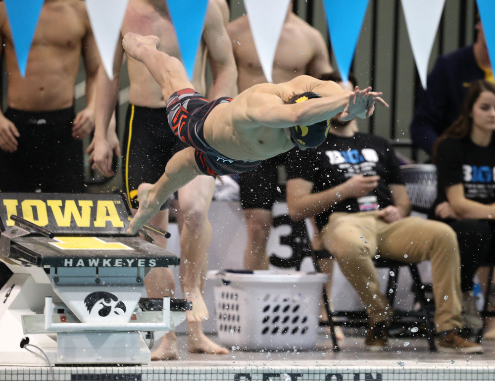 Iowa's Daniel Swanepoel swims the breaststroke leg of the 200 medley relay at the 2019 Big Ten Swimming and Diving meet Wednesday, February 27, 2019 at the Campus Wellness and Recreation Center. (Brian Ray/hawkeyesports.com)