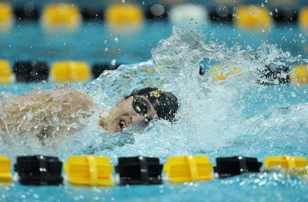 Iowa's Michael Tenney swims the 500 yard freestyle Thursday, November 15, 2018 during the 2018 Hawkeye Invitational at the Campus Recreation and Wellness Center. (Brian Ray/hawkeyesports.com)
