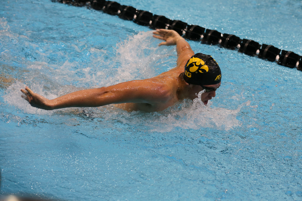 Iowa’s Evan Holt during Iowa swim and dive vs Minnesota on Saturday, October 26, 2019 at the Campus Wellness and Recreation Center. (Lily Smith/hawkeyesports.com)