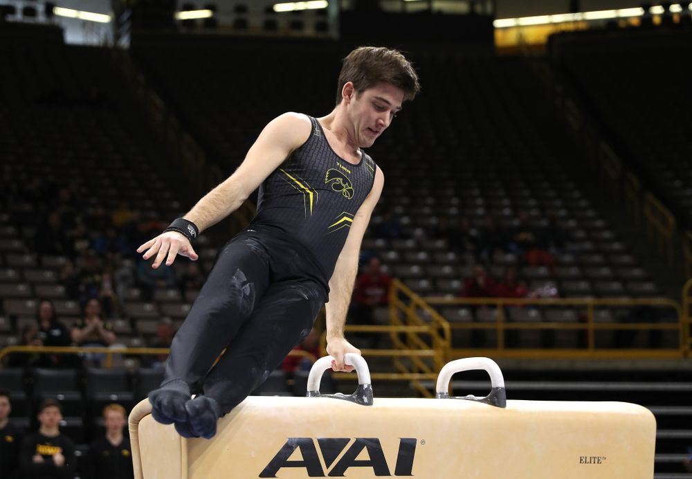 Iowa's Kevin Johnson competes on the Pommel Horse against Oklahoma Saturday, February 9, 2019 at Carver-Hawkeye Arena. (Brian Ray/hawkeyesports.com)