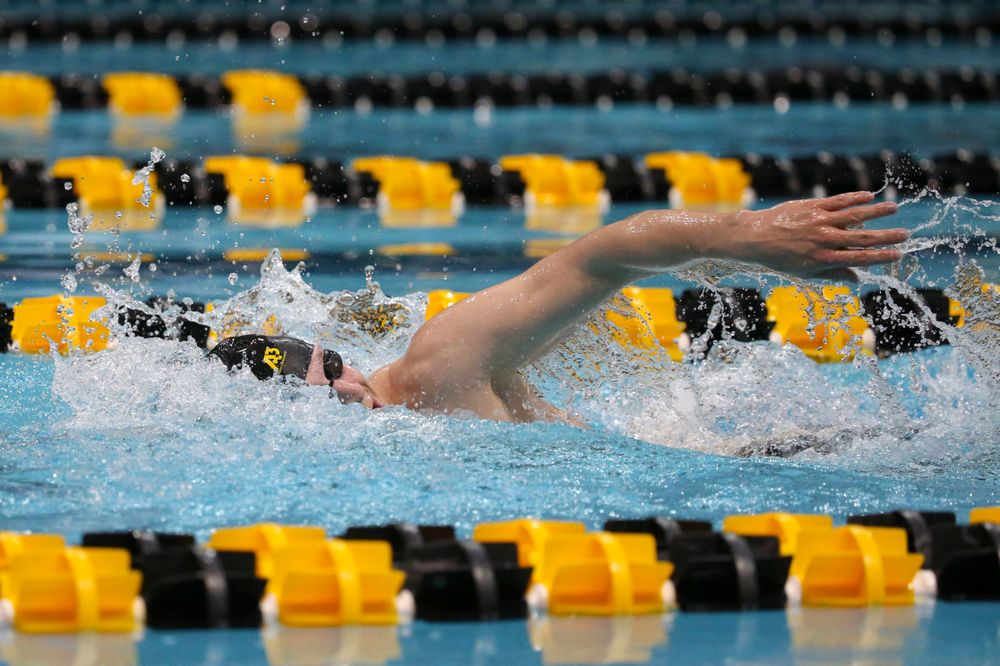 Iowa's B team at the 1,650-yard freestyle race Saturday, March 2, 2019 at the Campus Recreation and Wellness Center. (Lily Smith/hawkeyesports.com)