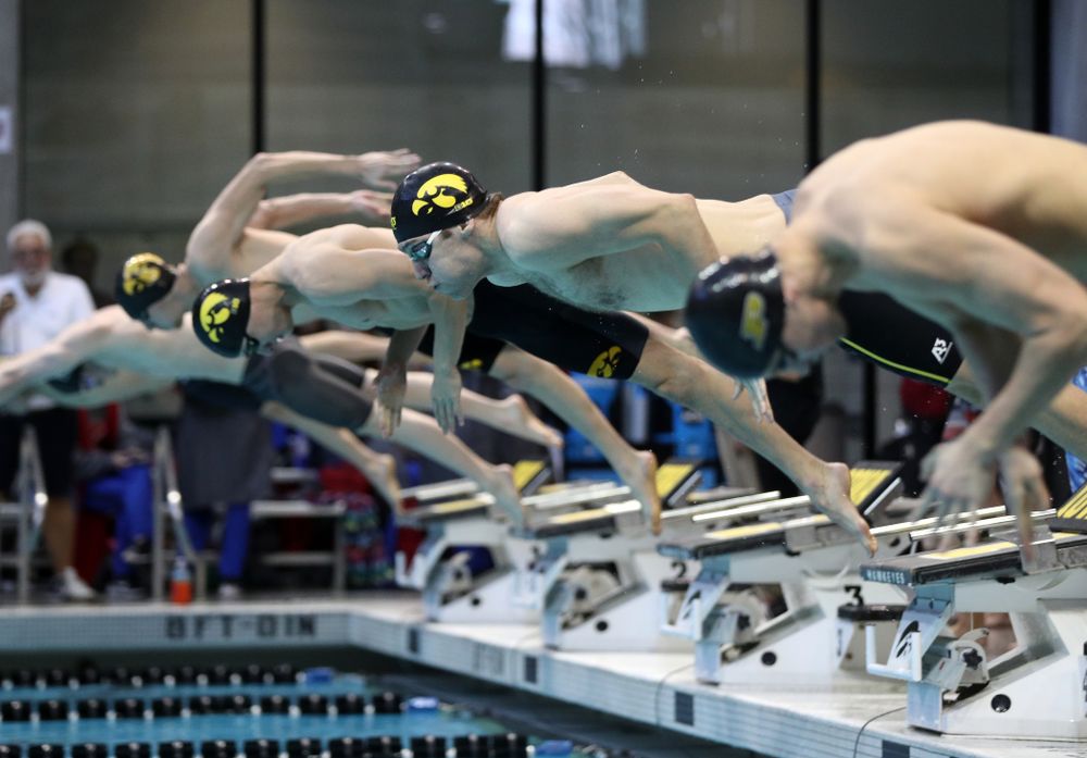 Iowa's Jack Smith swims the 50 yard freestyle Thursday, November 15, 2018 during the 2018 Hawkeye Invitational at the Campus Recreation and Wellness Center. (Brian Ray/hawkeyesports.com)