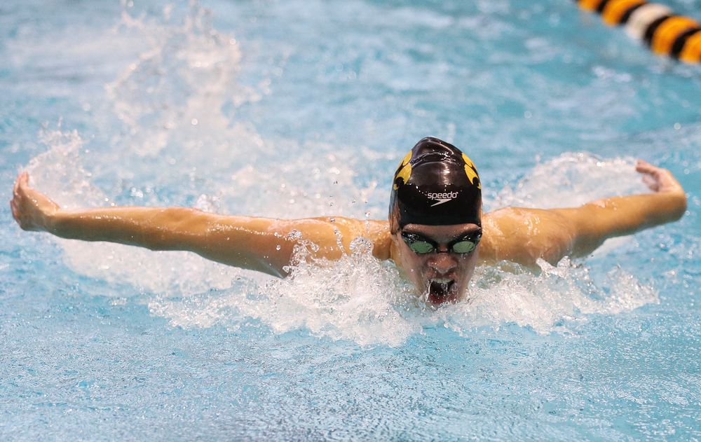 Iowa's Matjaz Rozman competes in the 200-yard butterfly during the third day of the Hawkeye Invitational at the Campus Recreation and Wellness Center on November 17, 2018. (Tork Mason/hawkeyesports.com)