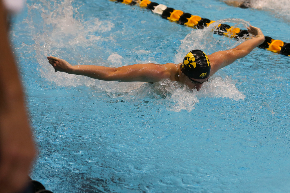 Iowa’s Evan Holt during Iowa swim and dive vs Minnesota on Saturday, October 26, 2019 at the Campus Wellness and Recreation Center. (Lily Smith/hawkeyesports.com)