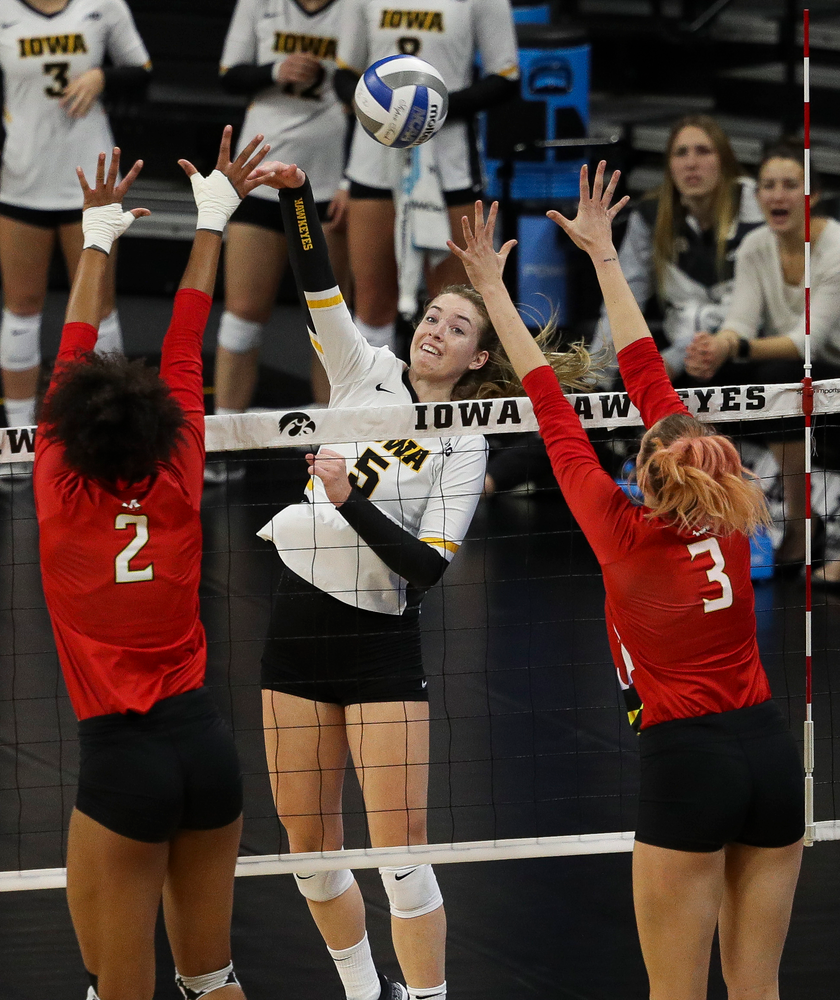 Iowa Hawkeyes outside hitter Meghan Buzzerio (5) spikes the ball during a match against Maryland at Carver-Hawkeye Arena on November 23, 2018. (Tork Mason/hawkeyesports.com)