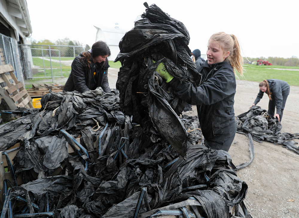 Iowa soccer players work at Grow: Johnson County at the Johnson County Historic Poor Farm during the 21st annual ISAAC Hawkeye Day of Caring in Iowa City on Sunday, Apr. 28, 2019. (Stephen Mally/hawkeyesports.com)