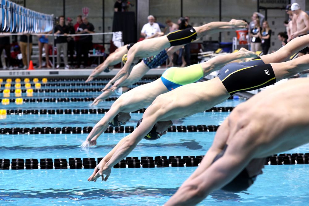 Iowa's Stjepan Fiolic competes in the 100-yard freestyle during the 2019 Big Ten Men's Swimming and Diving Championships Saturday, March 2, 2019 at the Campus Wellness and Recreation Center. (Brian Ray/hawkeyesports.com)