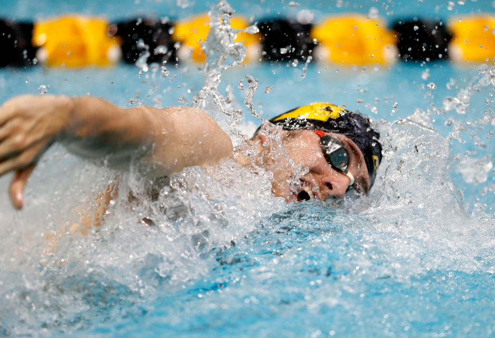 Jack Smith swims the 100 yard freestyle during the Black and Gold Intrasquad Saturday, September 29, 2018 at the Campus Recreation and Wellness Center. (Brian Ray/hawkeyesports.com)