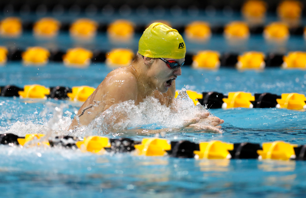 Anze Fers Erzen swims the 200 yard IM during the Black and Gold Intrasquad Saturday, September 29, 2018 at the Campus Recreation and Wellness Center. (Brian Ray/hawkeyesports.com)