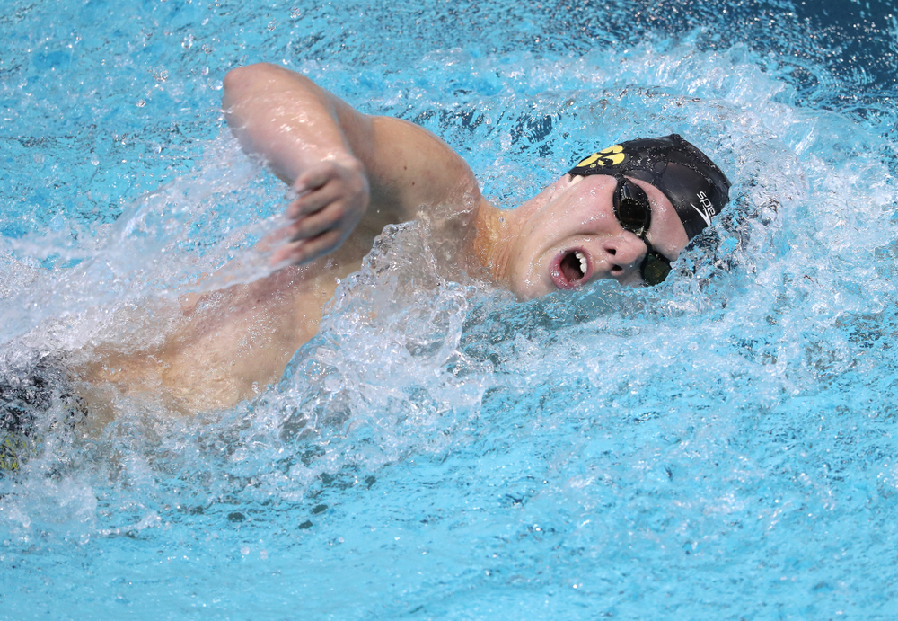 Iowa's Forrest White swims in the preliminaries of the 500-yard freestyle during the 2019 Big Ten Swimming and Diving Championships Thursday, February 28, 2019 at the Campus Wellness and Recreation Center. (Brian Ray/hawkeyesports.com)