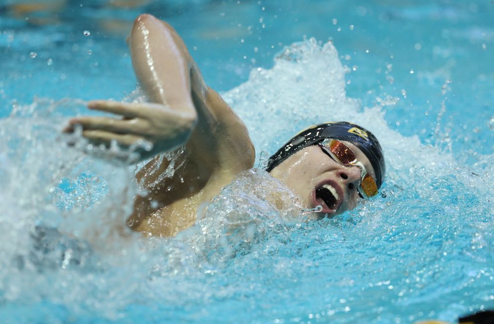 Iowa's Andrew Fierke swims the 500 yard freestyle Thursday, November 15, 2018 during the 2018 Hawkeye Invitational at the Campus Recreation and Wellness Center. (Brian Ray/hawkeyesports.com)
