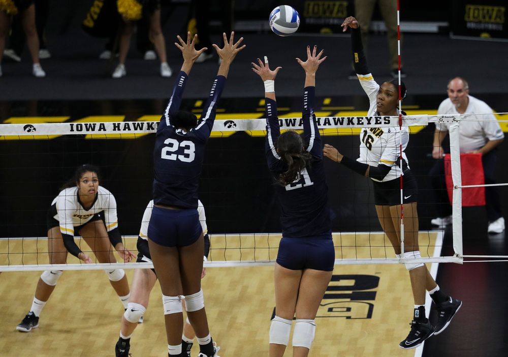 Iowa Hawkeyes outside hitter Taylor Louis (16) spikes the ball during a match against Penn State at Carver-Hawkeye Arena on November 3, 2018. (Tork Mason/hawkeyesports.com)
