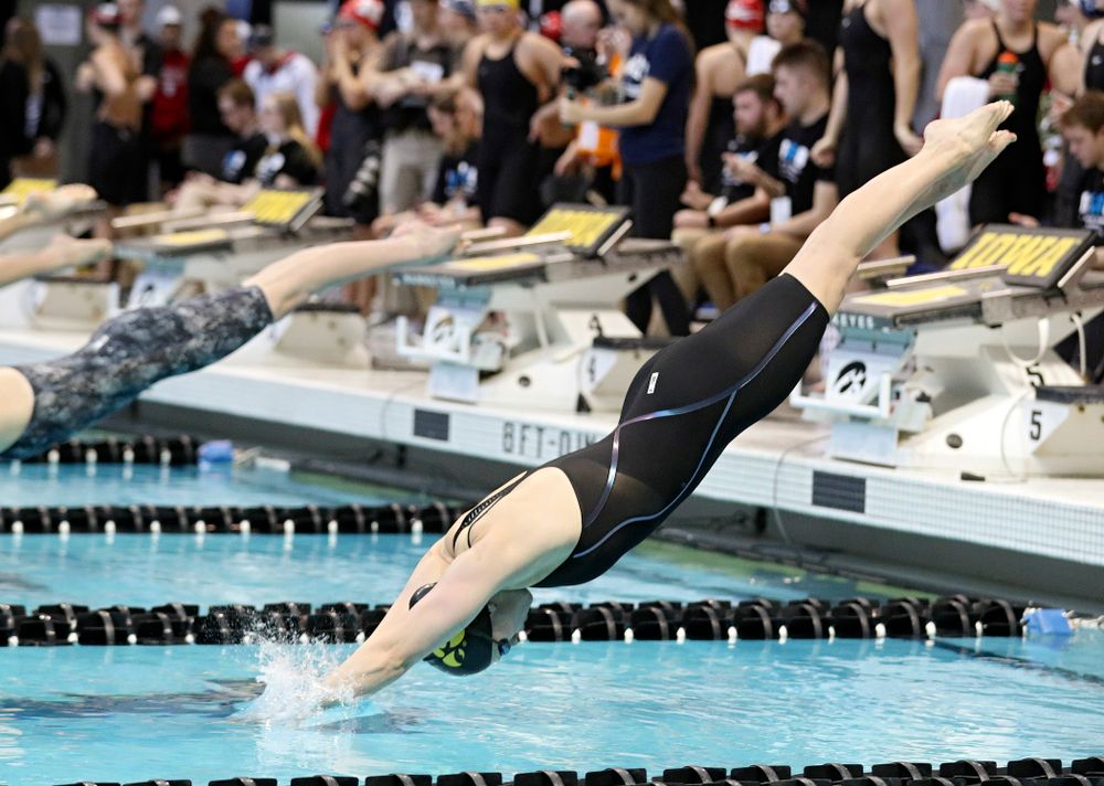 Iowa’s Lauren McDougall swims in the women’s 100 yard freestyle preliminary event during the 2020 Women’s Big Ten Swimming and Diving Championships at the Campus Recreation and Wellness Center in Iowa City on Saturday, February 22, 2020. (Stephen Mally/hawkeyesports.com)