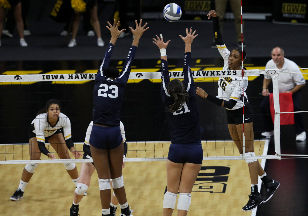 Iowa Hawkeyes outside hitter Taylor Louis (16) spikes the ball during a match against Penn State at Carver-Hawkeye Arena on November 3, 2018. (Tork Mason/hawkeyesports.com)