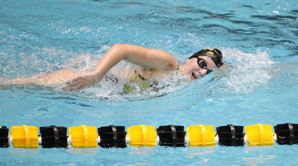 Iowa's Taylor Hartley swims the 1000 yard freestyle during a double dual against Wisconsin and Northwestern Saturday, January 19, 2019 at the Campus Recreation and Wellness Center. (Brian Ray/hawkeyesports.com)