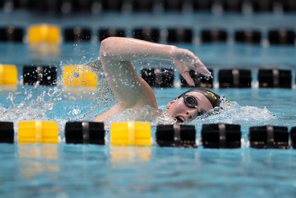 IowaÕs Taylor Hartley swims the 1,000 yard freestyle agains the Michigan Wolverines Friday, November 1, 2019 at the Campus Recreation and Wellness Center. (Brian Ray/hawkeyesports.com)
