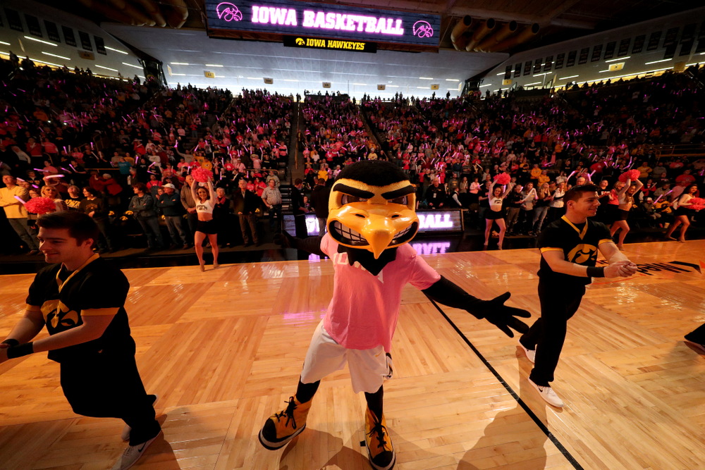 Herky the Hawk before the Iowa Hawkeyes game against the seventh ranked Maryland Terrapins Sunday, February 17, 2019 at Carver-Hawkeye Arena. (Brian Ray/hawkeyesports.com)