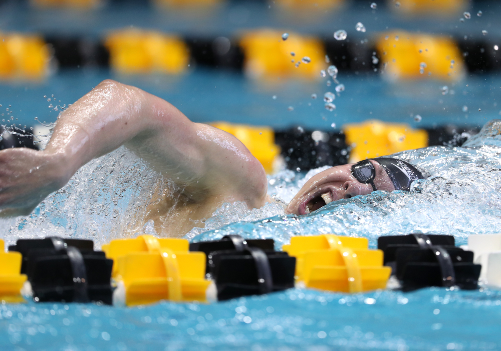 Iowa's Mateusz Arndt swims in the preliminaries of the 500-yard freestyle during the 2019 Big Ten Swimming and Diving Championships Thursday, February 28, 2019 at the Campus Wellness and Recreation Center. (Brian Ray/hawkeyesports.com)
