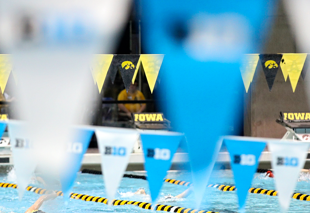 A Tigerhawk logo is seen during the 2020 Big Ten Women’s Swimming and Diving Championships at the Campus Recreation and Wellness Center in Iowa City on Wednesday, February 19, 2020. (Stephen Mally/hawkeyesports.com)