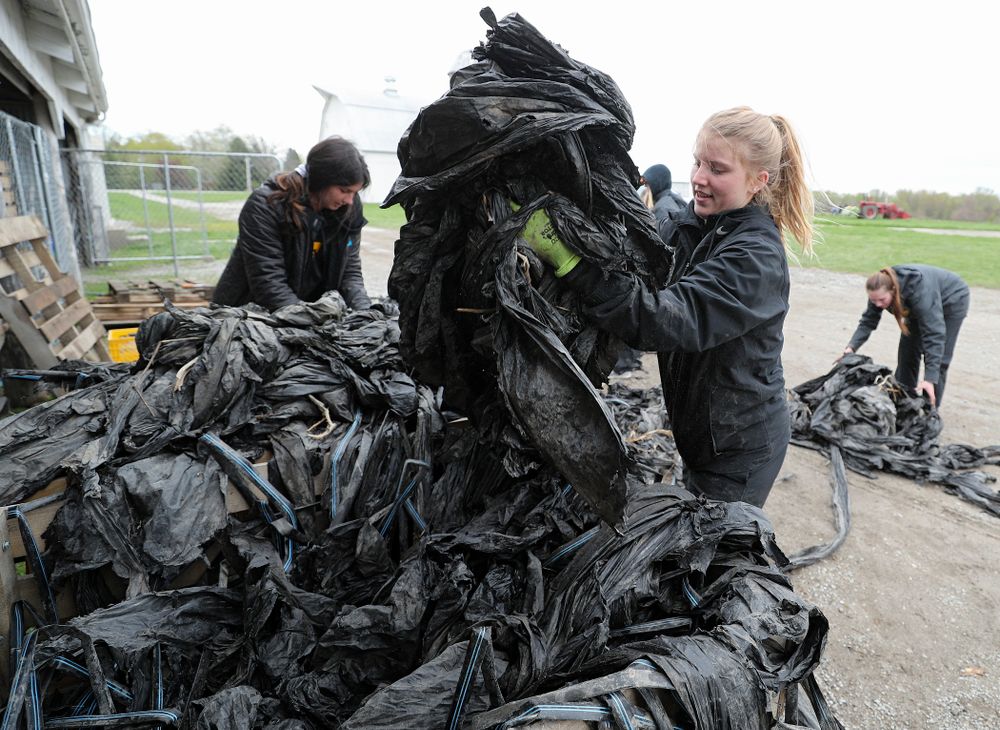 Iowa soccer players work at Grow: Johnson County at the Johnson County Historic Poor Farm during the 21st annual ISAAC Hawkeye Day of Caring in Iowa City on Sunday, Apr. 28, 2019. (Stephen Mally/hawkeyesports.com)