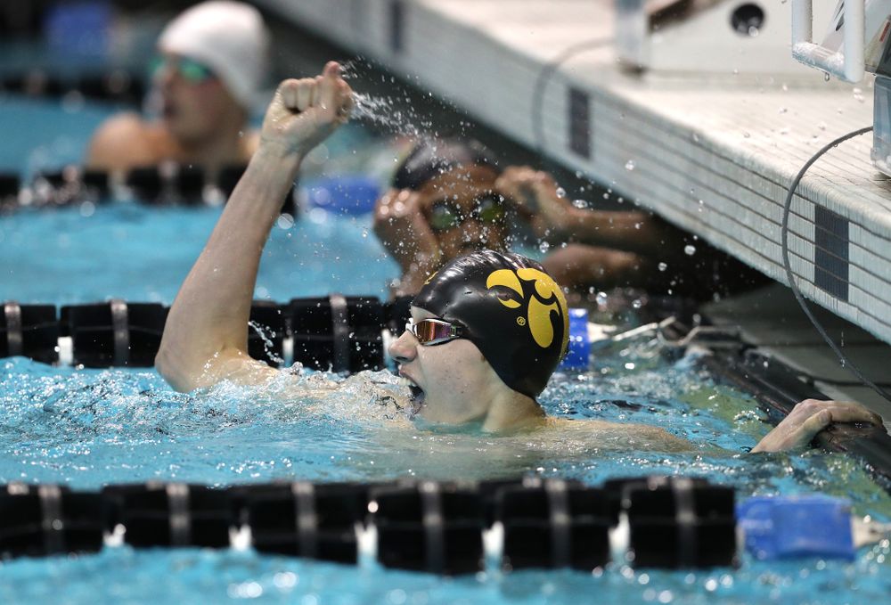 Iowa's Andrew Fierke swims the 500-yard freestyle during the bonus finals of the second day at the 2019 Big Ten Swimming and Diving Championships Thursday, February 28, 2019 at the Campus Wellness and Recreation Center. (Brian Ray/hawkeyesports.com)