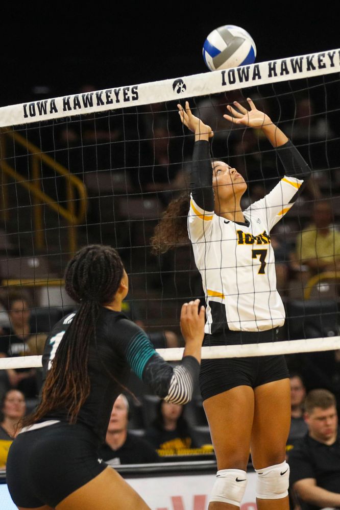 Iowa Hawkeyes setter Brie Orr (7) against Coastal Carolina Friday, September 20, 2019 at Carver-Hawkeye Arena. (Lily Smith/hawkeyesports.com)