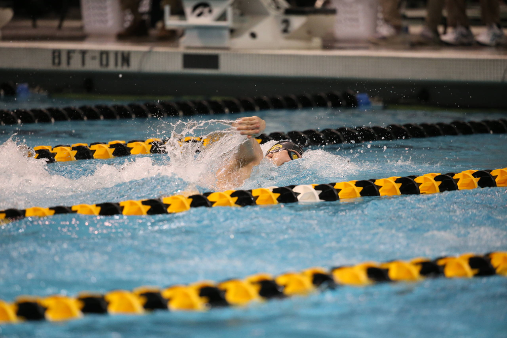 Iowa's Aleksey Tarasenko at the 200-yard freestyle race Friday, March 1, 2019 at the Campus Recreation and Wellness Center. (Lily Smith/hawkeyesports.com)
