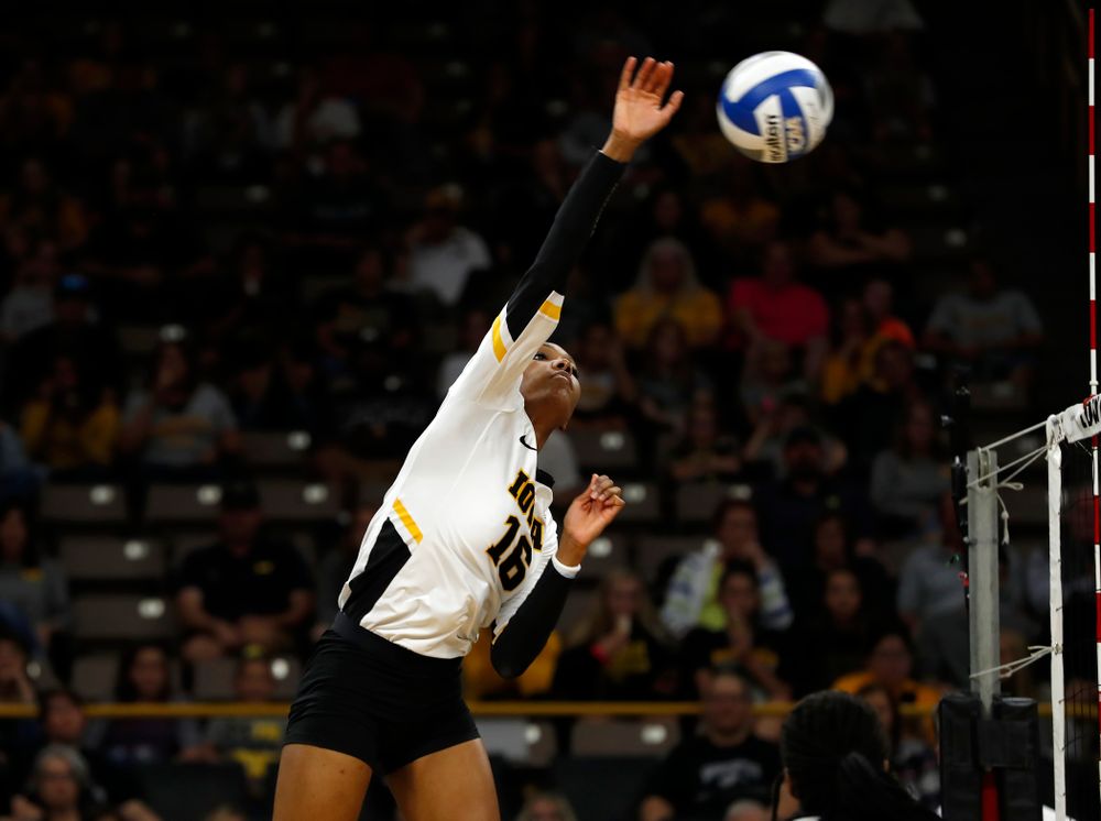 Iowa Hawkeyes outside hitter Taylor Louis (16) against the Michigan Wolverines Sunday, September 23, 2018 at Carver-Hawkeye Arena. (Brian Ray/hawkeyesports.com)