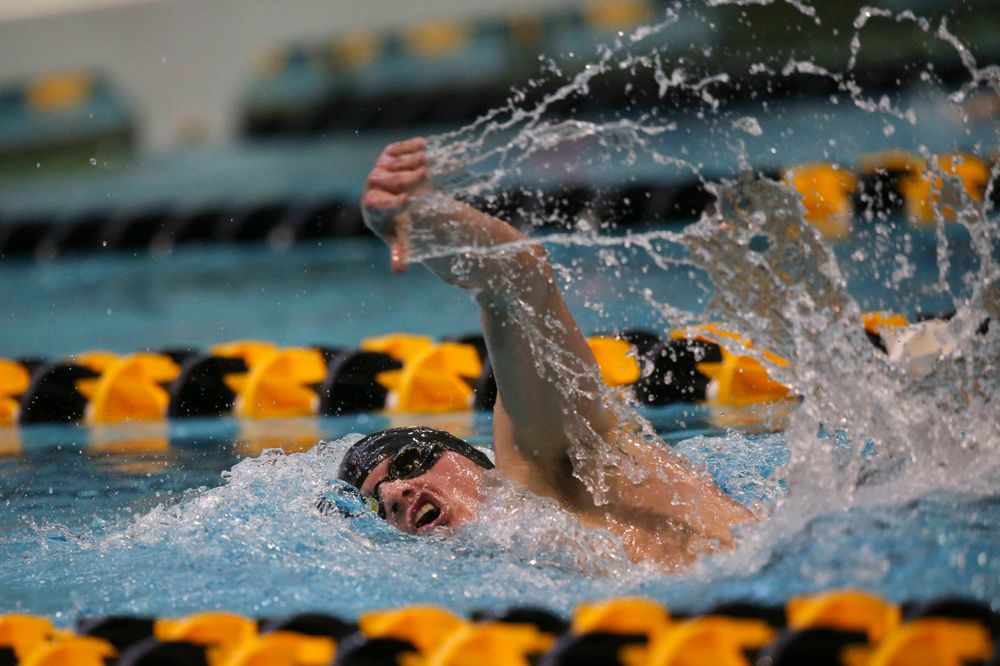 Iowa's Anze Fers Erzan team at the 200-yard backstroke race Saturday, March 2, 2019 at the Campus Recreation and Wellness Center. (Lily Smith/hawkeyesports.com)
