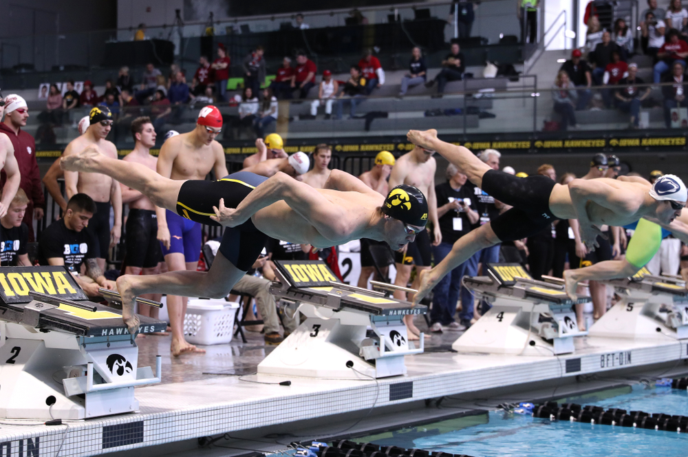 Iowa's Matt Kamin swims in the preliminaries of the 50-yard freestyle during the 2019 Big Ten Swimming and Diving Championships Thursday, February 28, 2019 at the Campus Wellness and Recreation Center. (Brian Ray/hawkeyesports.com)