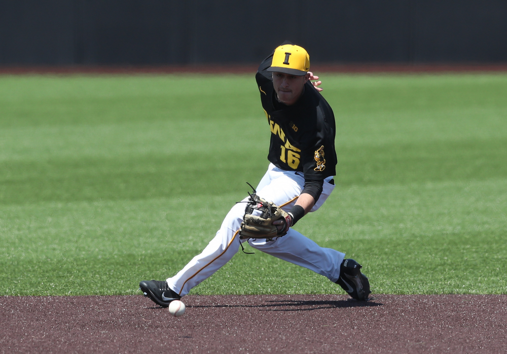 Iowa Hawkeyes Tanner Wetrich (16) during game two against UC Irvine Saturday, May 4, 2019 at Duane Banks Field. (Brian Ray/hawkeyesports.com)