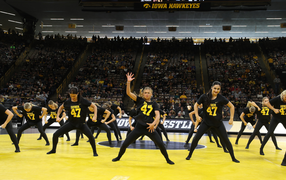 The Iowa Dance Team performs at the intermission of the Iowa Hawkeyes match against Purdue Saturday, November 24, 2018 at Carver-Hawkeye Arena. (Brian Ray/hawkeyesports.com)