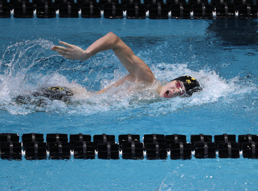 Iowa's Andrew Fierke swims in the preliminaries of the 500-yard freestyle during the 2019 Big Ten Swimming and Diving Championships Thursday, February 28, 2019 at the Campus Wellness and Recreation Center. (Brian Ray/hawkeyesports.com)