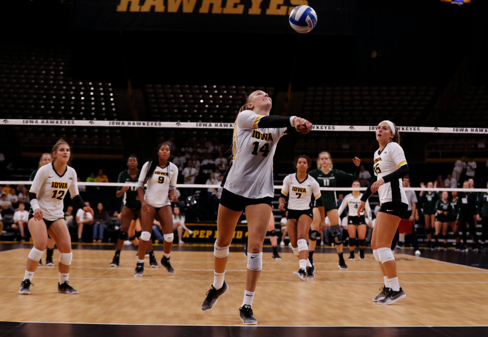 Iowa Hawkeyes outside hitter Cali Hoye (14) against the Michigan State Spartans Friday, September 21, 2018 at Carver-Hawkeye Arena. (Brian Ray/hawkeyesports.com)