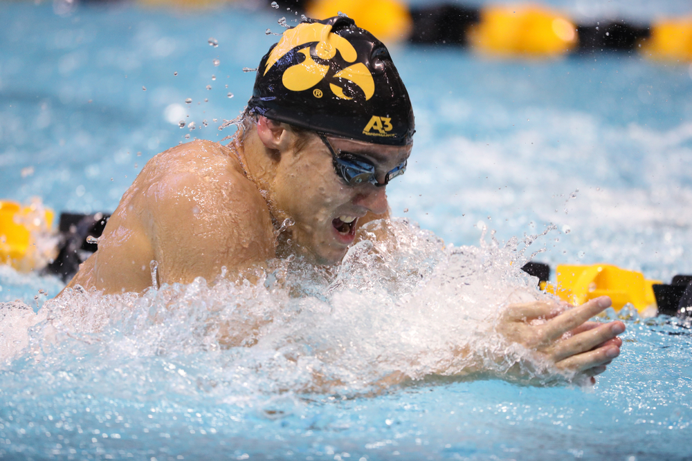 Iowa's Daniel Swanepoel swims the breaststroke leg of the 200 yard medley relay during a double dual against Wisconsin and Northwestern Saturday, January 19, 2019 at the Campus Recreation and Wellness Center. (Brian Ray/hawkeyesports.com)