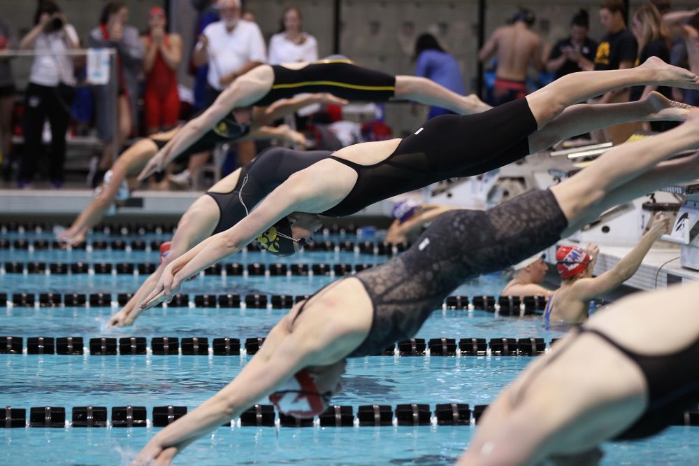 Iowa's Sarah Schemmel swims the 50 yard freestyle Thursday, November 15, 2018 during the 2018 Hawkeye Invitational at the Campus Recreation and Wellness Center. (Brian Ray/hawkeyesports.com)
