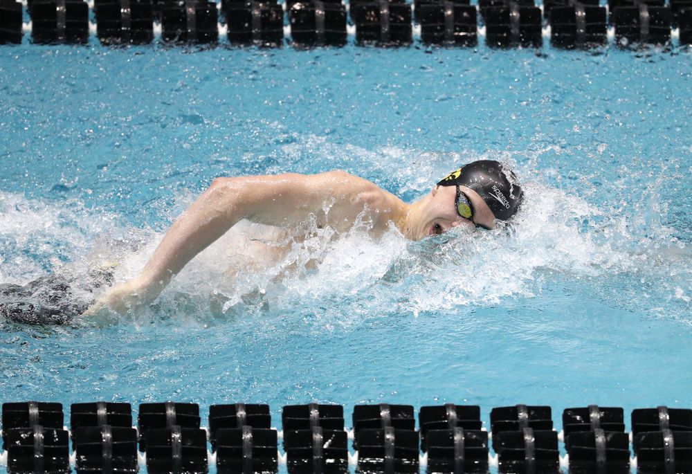 The Iowa A team swims the 200-yard medley relay at the 2019 Big Ten Swimming and Diving meet Wednesday, February 27, 2019 at the Campus Wellness and Recreation Center. (Brian Ray/hawkeyesports.com)
