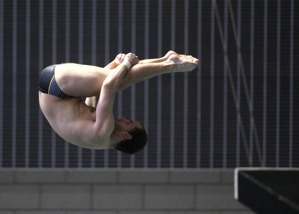 Iowa's Anton Hoherz competes on the 3-meter springboard during the third day of the 2019 Big Ten Swimming and Diving Championships Thursday, February 28, 2019 at the Campus Wellness and Recreation Center. (Brian Ray/hawkeyesports.com)