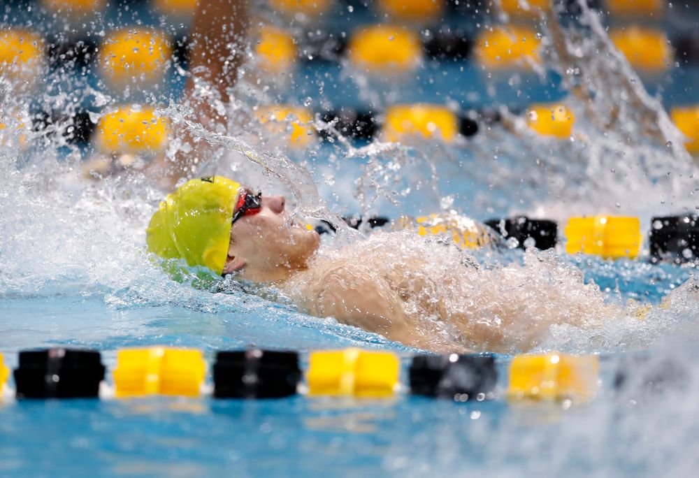 Anze Fers Erzen swims the 200 yard IM during the Black and Gold Intrasquad Saturday, September 29, 2018 at the Campus Recreation and Wellness Center. (Brian Ray/hawkeyesports.com)